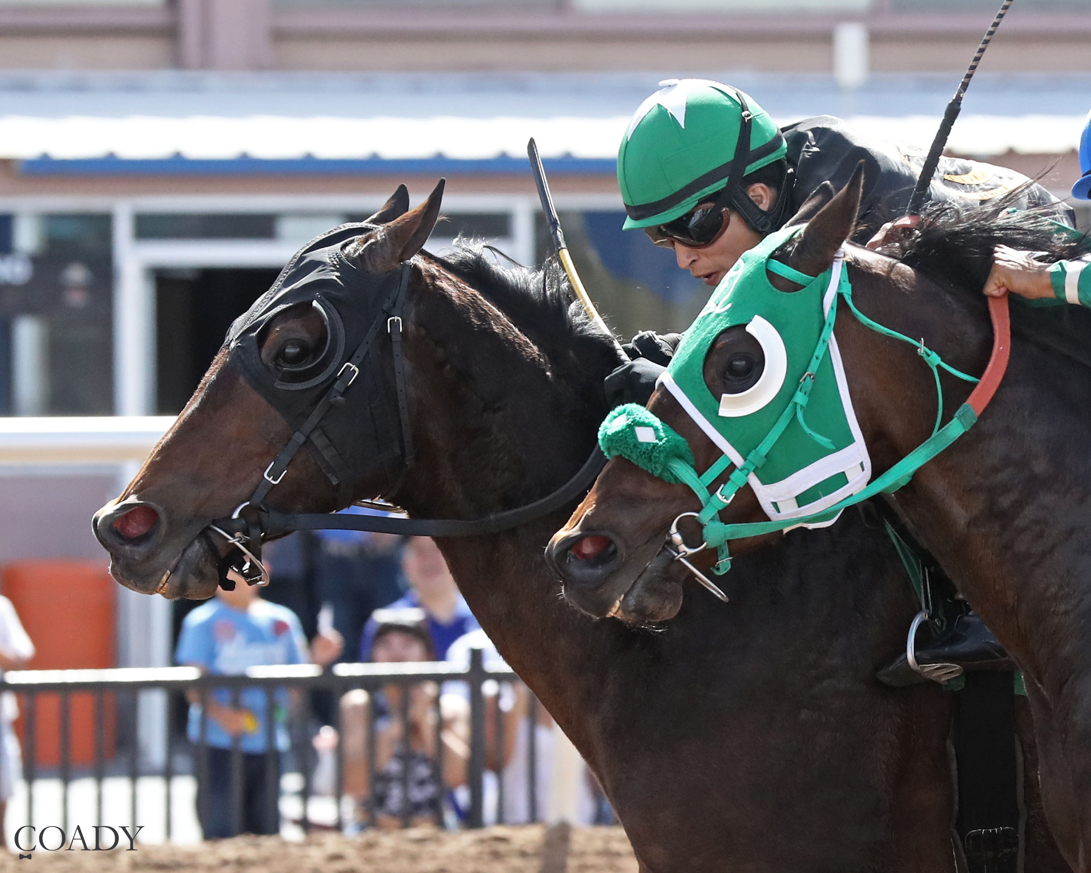 Horses: Dave’s Enchantment tops track record during upset win in $80,000 Mt. Cristo Rey Stakes; Sunland Derby winner Pavlovian remains on course for Kentucky Derby