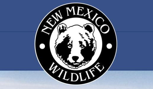 Fishing Report: Tell Your Fish Story