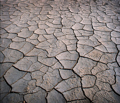 Doña Ana Among Counties Designated by USDA as Natural Disaster Areas