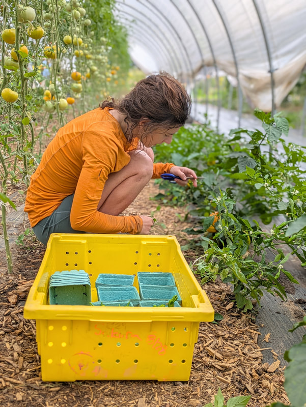 Healthy Food Financing Fund Benefits New Mexico Communities