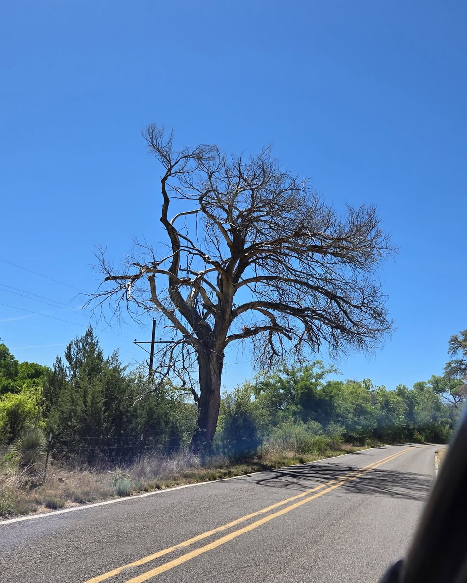 NMDOT Practices “Prevention” as Well as “Repair”