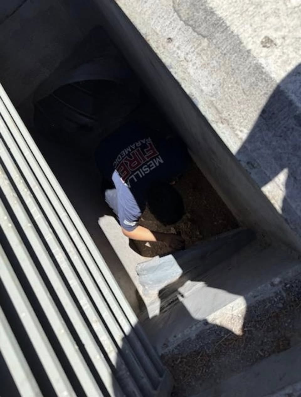 Mesilla Fire Rescues Kitten Trapped in Storm Drain at Zia Middle School