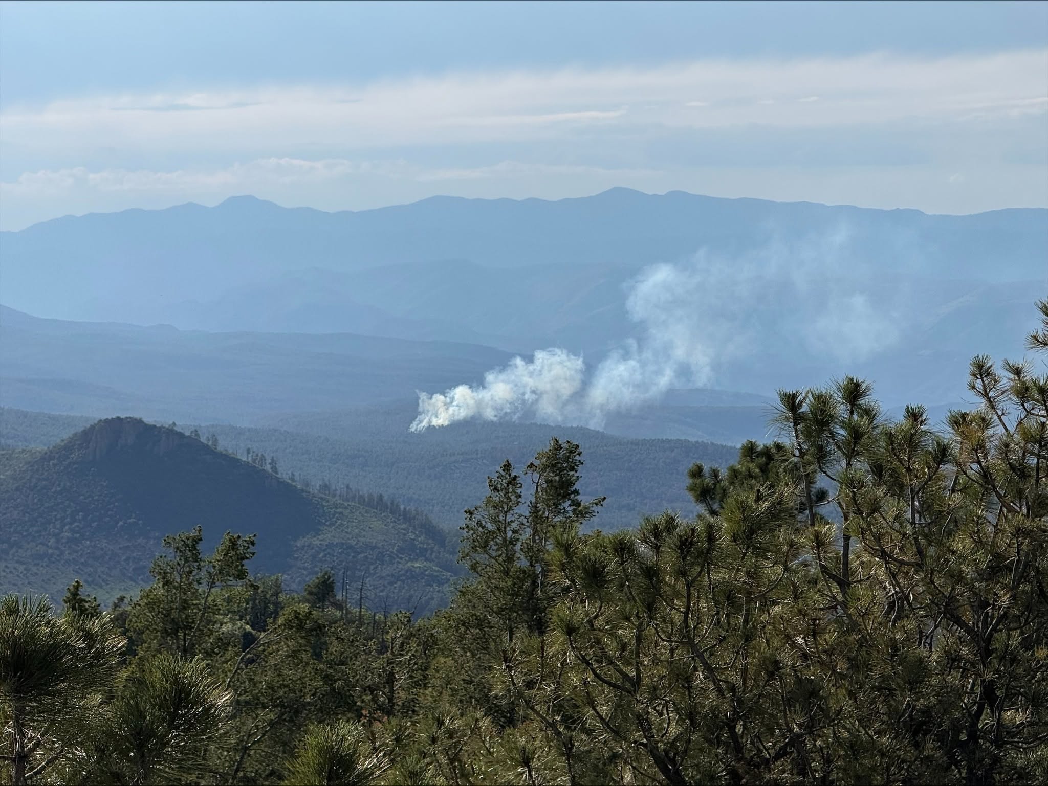 Bear Fire Containment Outpaces Growth as New Wildfires Emerge Across New Mexico