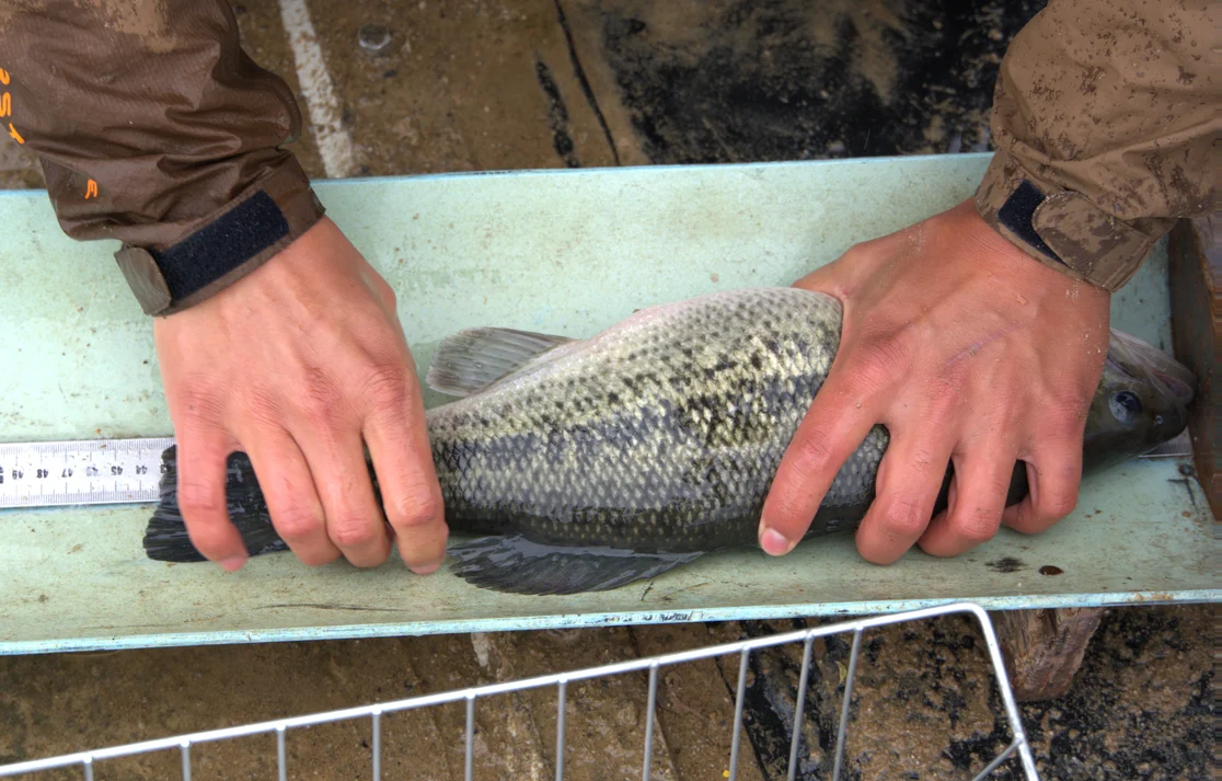 Fishing Report: Challenge your fishing skills in New Mexico’s waters