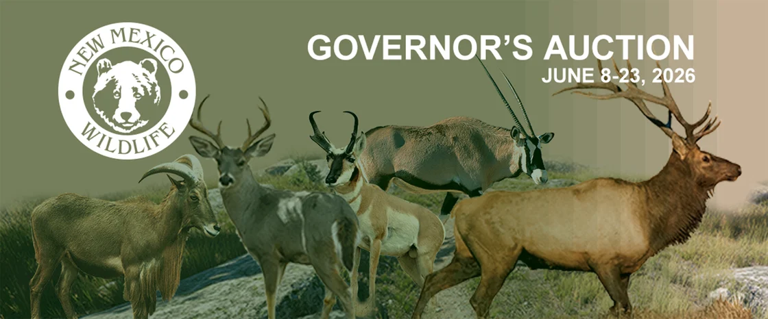 Governor’s Special Hunt Auction online for 2026