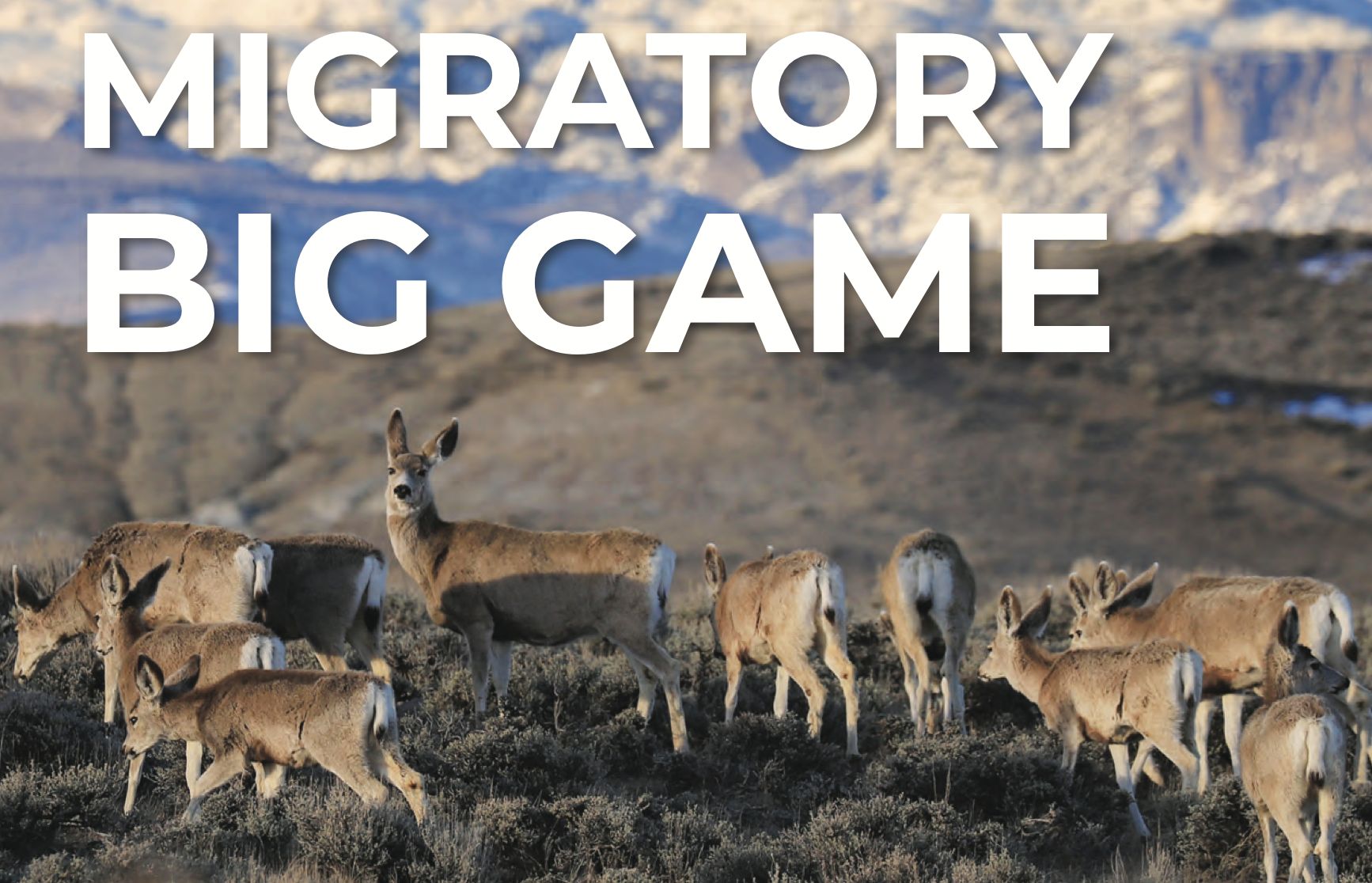 USDA Unveils New Framework for Migratory Big Game Conservation