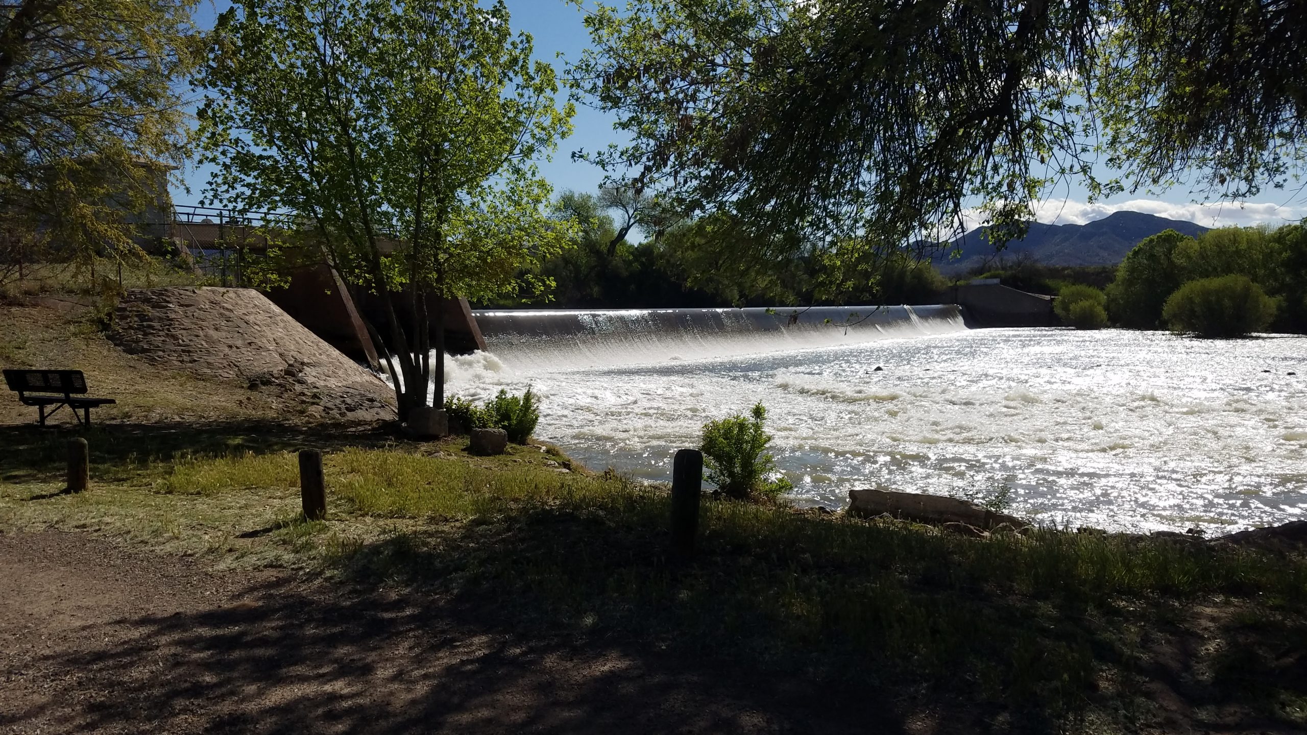 Fishing Report: Summer Catfish Waters are the cat’s meow
