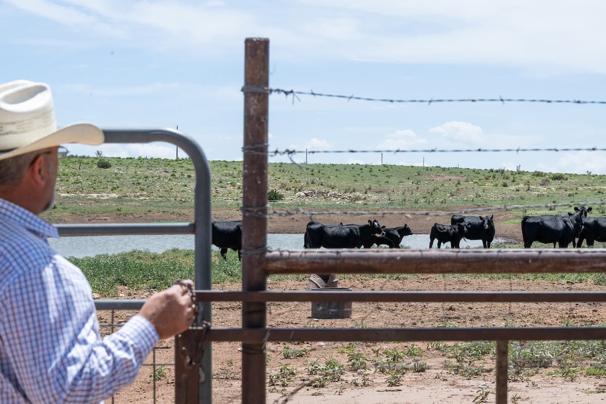 NMSU Corona Range and Livestock Research Center to host 2026 field day
