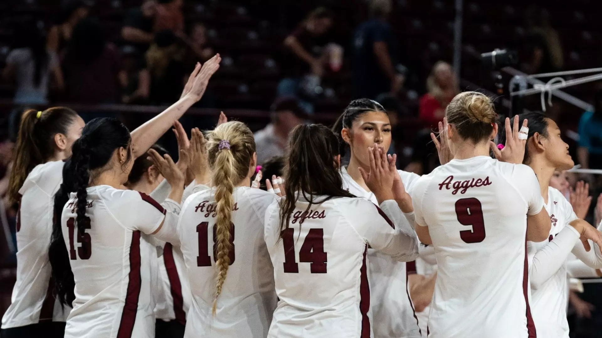 Volleyball: NM State Announces 2026 Schedule