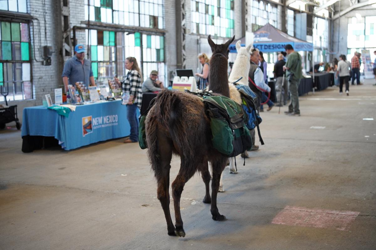 Applications open for Adventure Pitch Fest, New Mexico’s $15,000 outdoor business competition