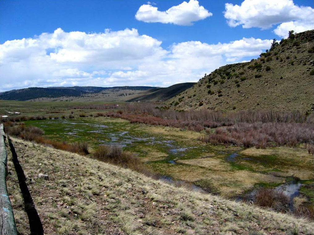 Small investment, big impact: How Public Land User Stamp funds restore New Mexico landscapes