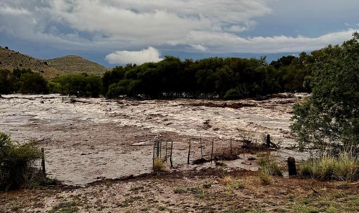 USDA Offers Disaster Assistance to Agricultural Producers in New Mexico Impacted by Recent Flooding